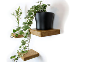 Schwebendes kleines Holzregal, Wandpflanzenhalter, Blumenampel