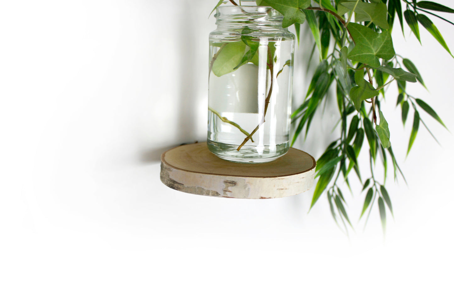 Schwebendes rundes Regal, Birke Wandpflanzenhalter, Blumenampel Eichenholzregal Wandregal