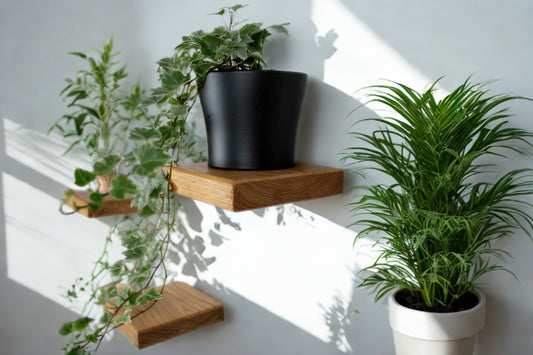 Schwebendes kleines Holzregal, Wandpflanzenhalter, Blumenampel