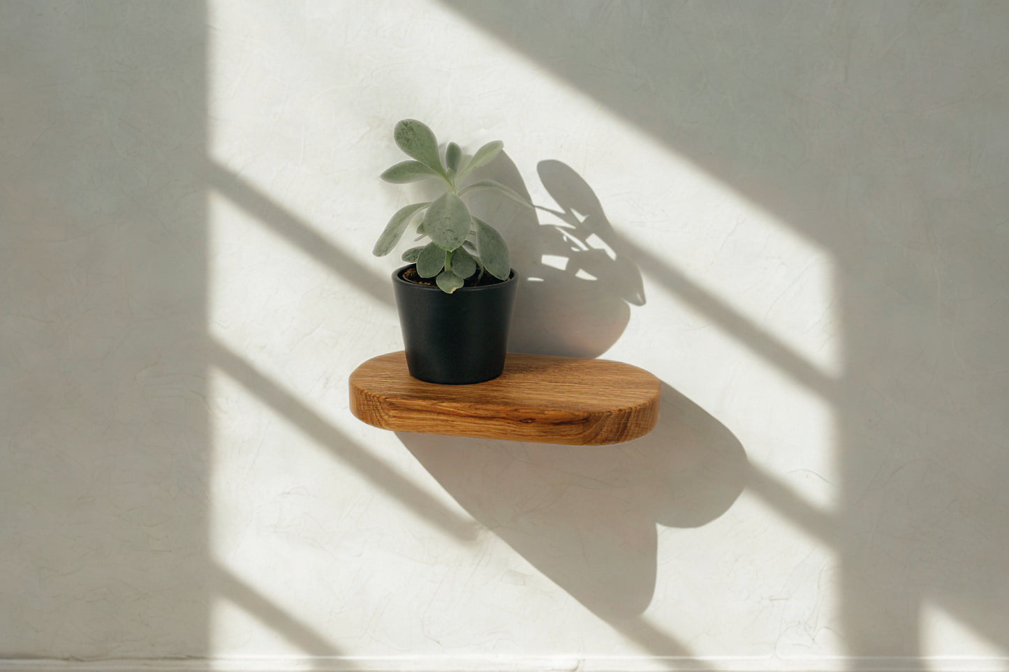 Schwebendes ovales Regal, Wandpflanzenhalter, Blumenampel Eichenholzregal