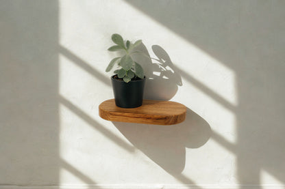 Schwebendes ovales Regal, Wandpflanzenhalter, Blumenampel Eichenholzregal